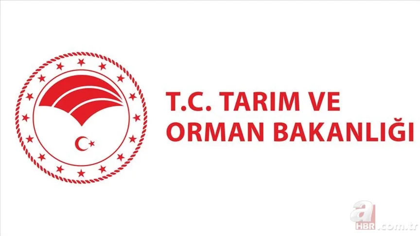 KPSS 2022/8 tercihleri sona eriyor! Tarım ve Orman Bakanlığı personel alımı tercih nasıl yapılır? Kadro dağılımı ve şartlar... 6
