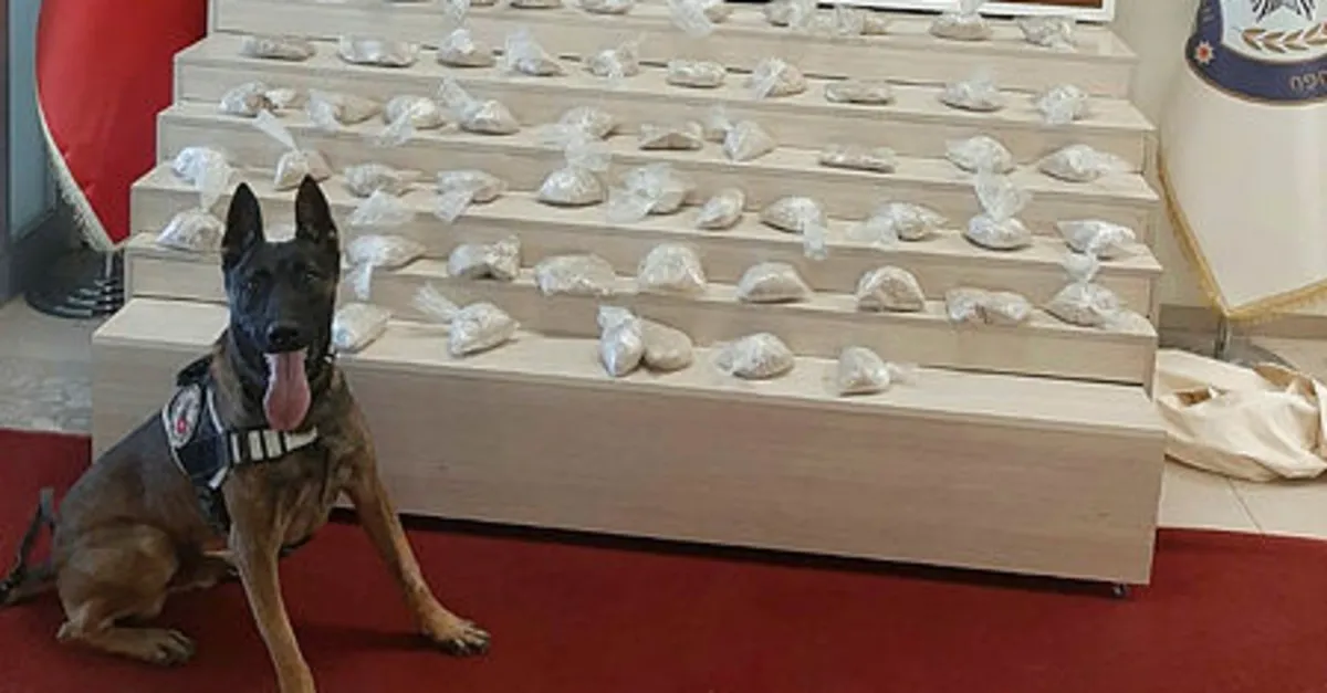 Van’da 15 kilo eroin ele geçirildi