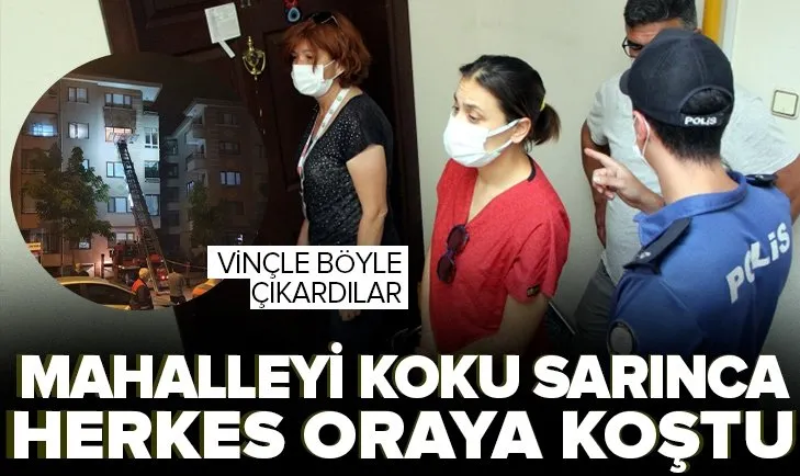 Kötü koku üzerine savcılık harekete geçti! Onlarca kediyi vinçle çıkardılar