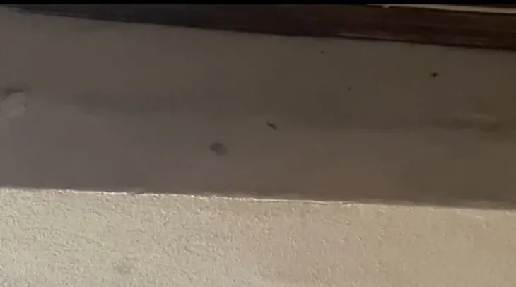 Beykoz’da kahvehaneyi taradılar! Yaralılar var