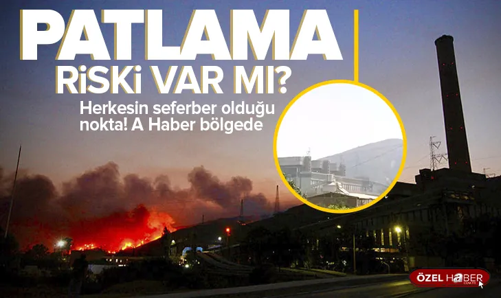 Milas’ta alevler santrale ulaşmadan durduruldu! Tüm tedbirler artırıldı