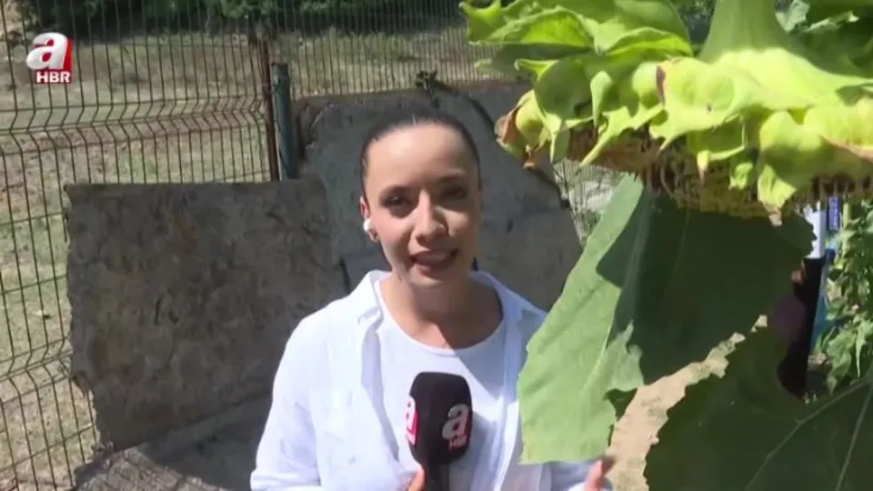 A Haber ekibi Pirinççi Köyü’nde