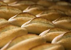 BAKIRKÖY KADIN KAPALI CEZA İNFAZ KURUMU