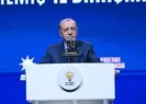 Başkan Erdoğan yeni dönemin yol haritasını açıkladı