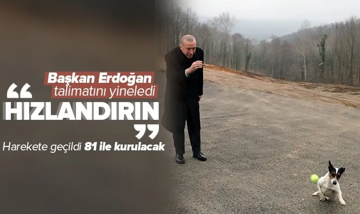 Başkan Erdoğan ’sokak hayvanları’ talimatını yineledi! 81 ile barınaklar ve rehabilitasyon merkezleri kurulacak