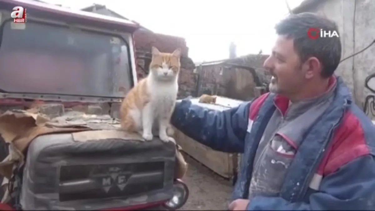 Sokak hayvanlarını bir kere besledi o gün bu gündür beslemeye devam ediyor