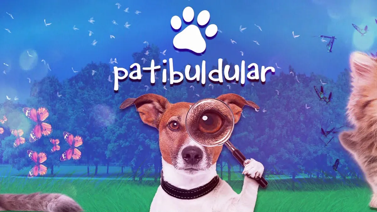 Müge Anlı, yaz tatilinde de kayıpları bulmaya devam ediyor - 1