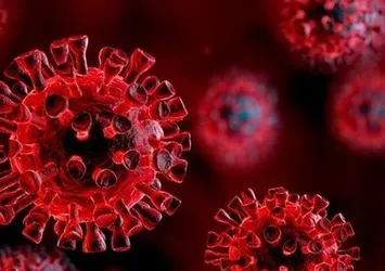 Koronavirüsün bir yan etkisi daha ortaya çıktı: Böbrek sorunları ve yetersizliği riskini yüzde 35 artırıyor