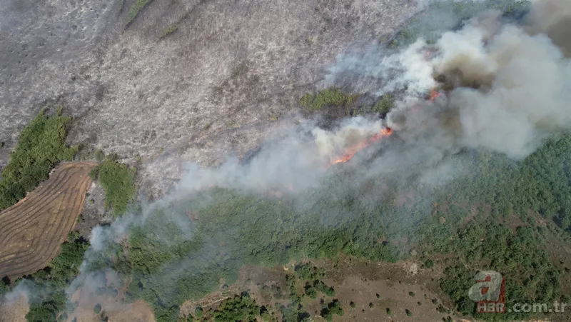 Bursa Yenişehir'de korkutan orman yangını! 12