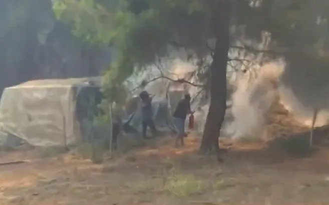 Manavgat’ta tekrar yangın çıktı