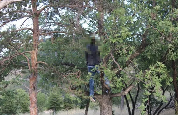 kayseride-mesire-alaninda-korkunc-goruntu-agaca-asili-ceset-bulundu-1656023863214.jpg Kayseri’de mesire alanında korkunç görüntü! Ağaca asılı ceset bulundu - 4