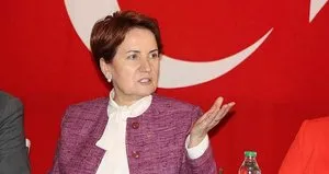 MHP’de Meral Akşener ve çağrı heyetine şok!