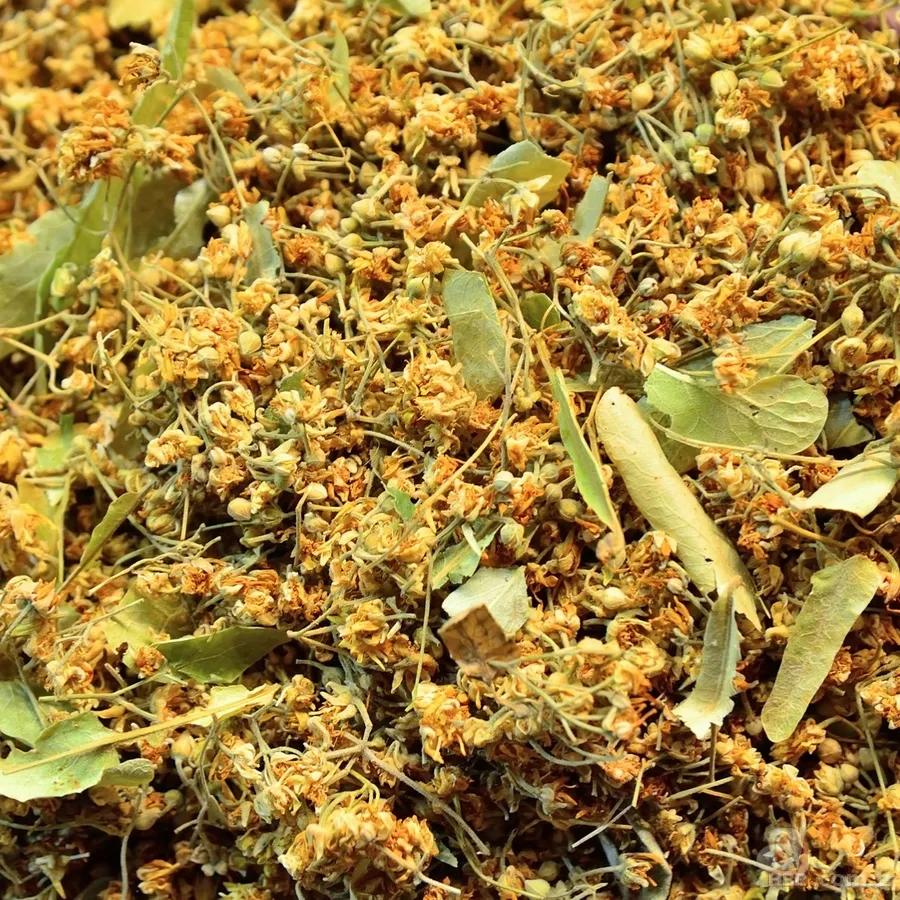 Adaçayı... Ihlamur... Kuşburnu... Hepsi doğal şifa deposu! Hangi bitki çayı neye iyi geliyor? İşte yanıtı... 8