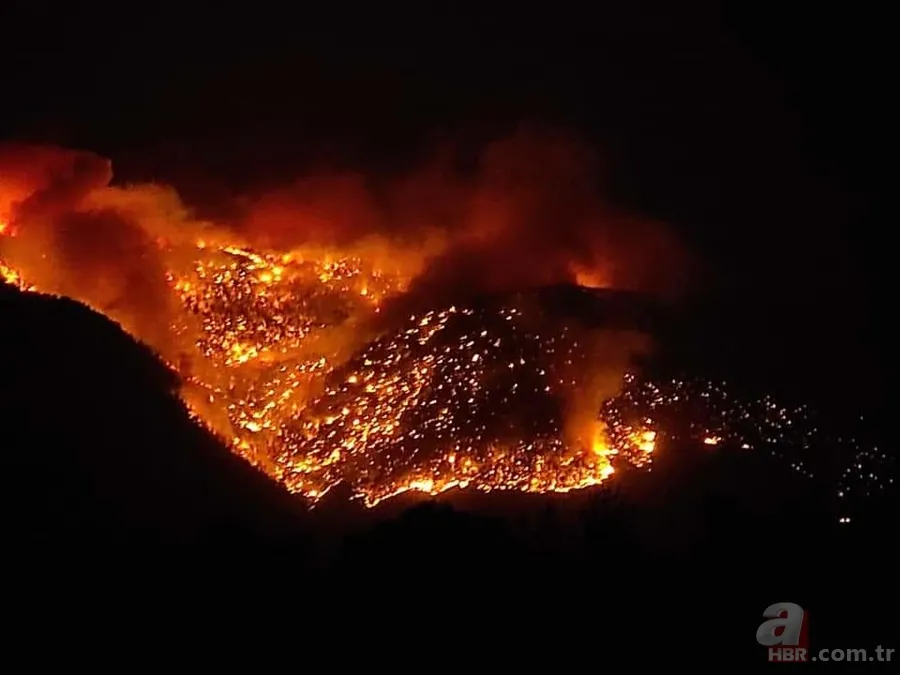 Manavgat'tan sonra şimdi de Mersin! Korkutan yangın 1
