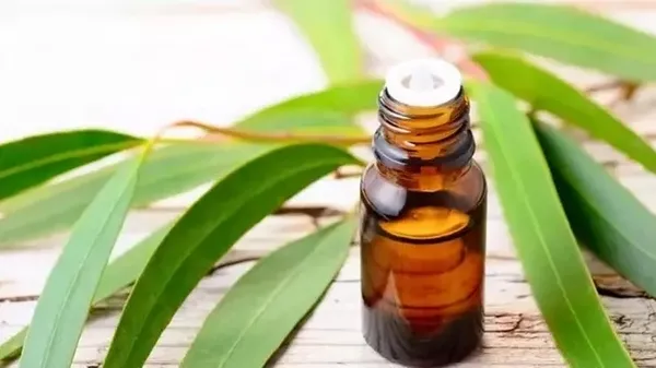 Bu 3 tarifle kışı hastalıksız geçireceksiniz! Gribe karşı doğal antibiyotik...