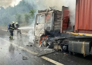 TEM'de beyaz eşya yüklü tır alev alev yandı! Sürücü canını zor kurtardı