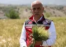 Hükümetten buğday taban fiyatı açıklaması