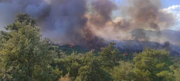 Çanakkale'de orman yangını! Havadan ve karadan müdahale - 1
