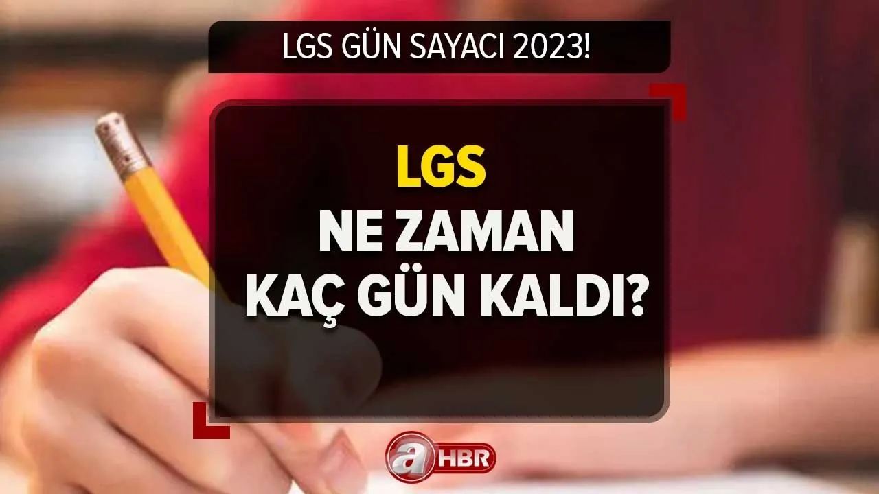 anneleriyle yaşayan bekar erkekler barbie gerçek hikayesi