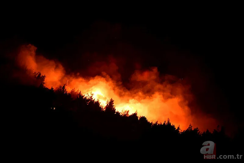 İzmir orman yangını son durum | İzmir yangın son dakika söndürüldü mü? 10