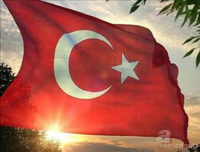 Dünyada en çok konuşulan diller belli oldu! Bakın Türkçe kaçıncı sırada! 9