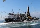 Hamsi avı yasağı hakkında flaş açıklama