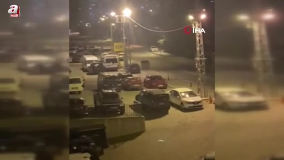 Borçka ilçe merkezine inen ayılar cadde ve sokaklarda dolaştı