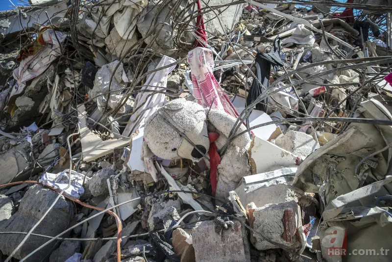 Barınma desteğine ilişkin tüm merak edilenler! AFAD 'kira desteği verilecek mi? Hesabıma para yatmadı' şeklindeki sorulara yanıt verdi 15