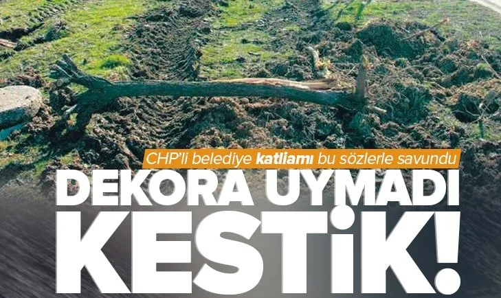 CHP’li Tekirdağ Büyükşehir Belediyesi ağaç katliamını bu sözlerle savundu: Dekora uymadı kestik