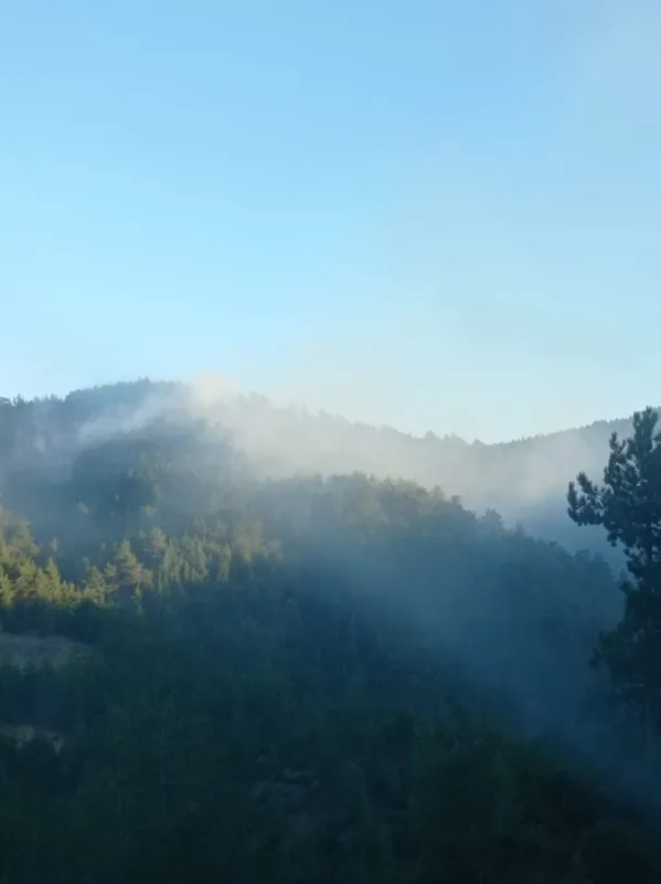 Son dakika: Adana'da orman yangını - 3