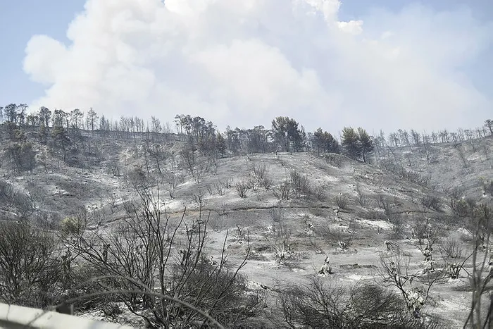 Yunanistan’da orman yangınları büyüyor! Atina’ya 20 km uzaklıktaki bölgede… - 1