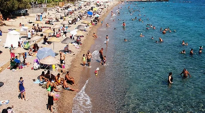 Prof. Dr. Mehmet Ceyhan Bodrum izlenimlerini anlatıp uyardı: Bu çok tehlikeli!