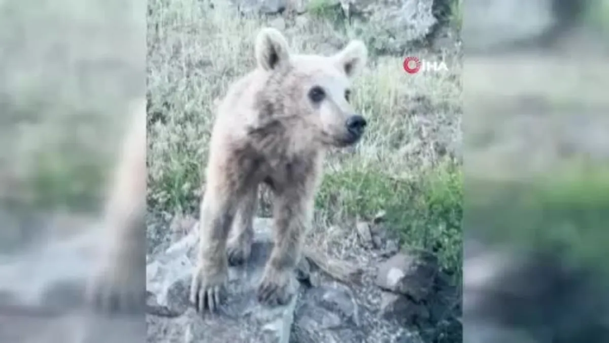 Nemrut’ta korku dolu anlar