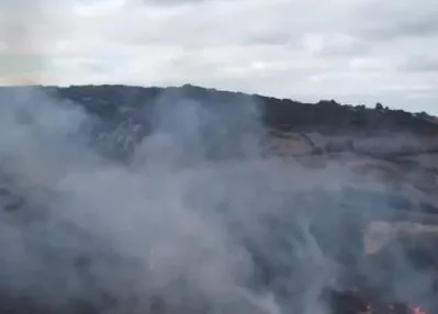 Çanakkale’de orman yangını