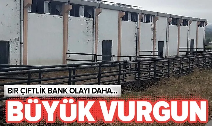 Diyarbakır'da bir Çiftlik Bank vakası daha! 20 milyon toplayıp kayıplara karıştılar