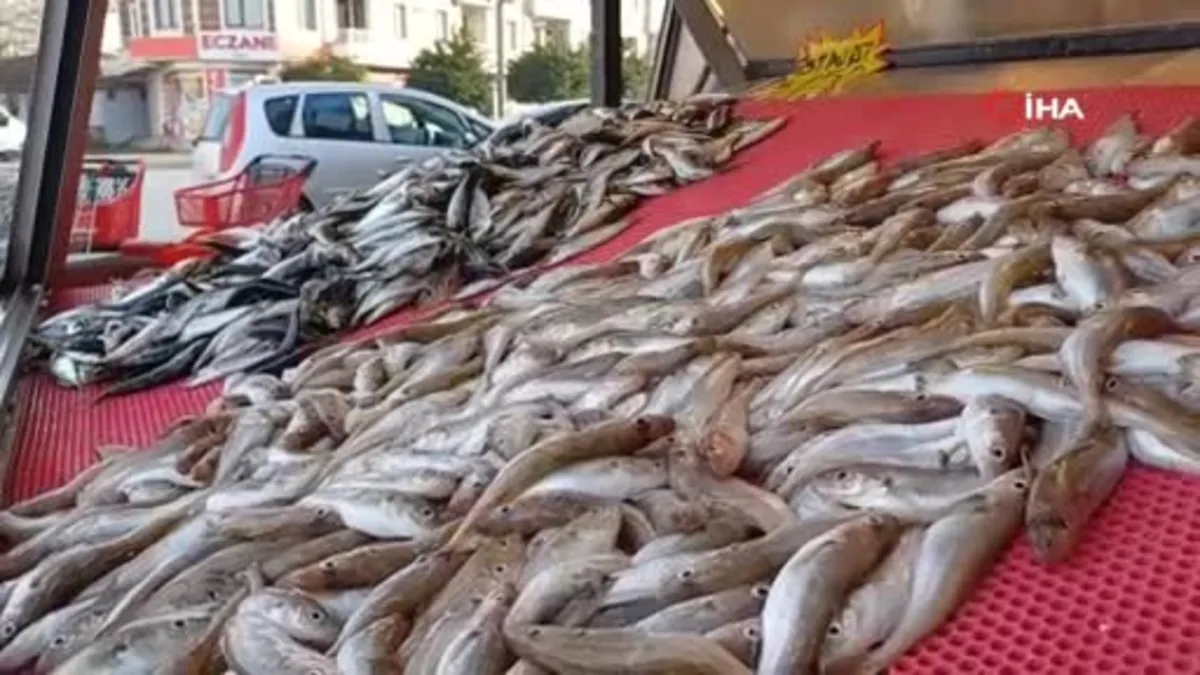 Karadeniz'deki bolluk tezgahlara da yaradı