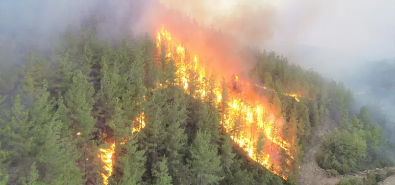 Kız arkadaşı jandarmaya teslim etti! Manavgat yangını için tutuklanan Ali Y.'nin kan donduran ses kaydı