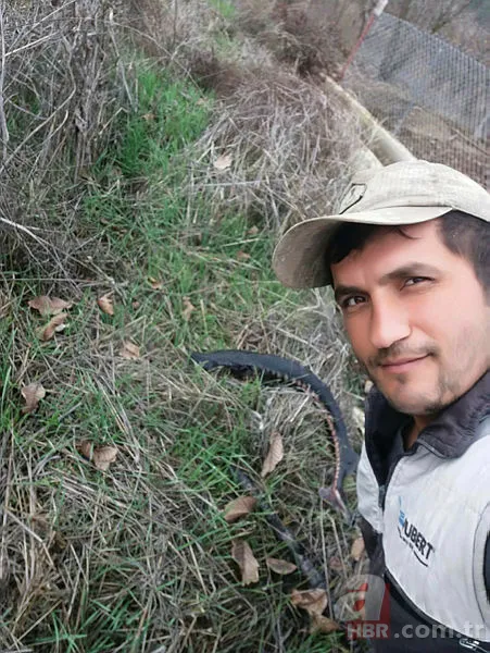 Bir balıkçı barajda yakaladı! Görenler şaşkına döndü! Acipenseridae familyasından 3