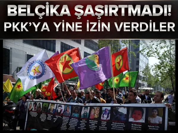 Belçika'dan yasaklı kimyasal madde ihracı - 1