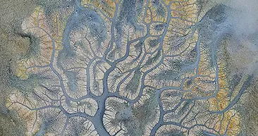 Son dakika | Her yıl bu mevsimde oluşuyor! Yarışlı Gölü’ndeki doğa harikası hayran bıraktı