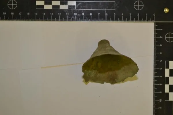 Dışişleri Bakanı Mevlüt Çavuşoğlu Macaristan’da yakalanan 412 tarihi eseri Türkiye’ye getiriyor