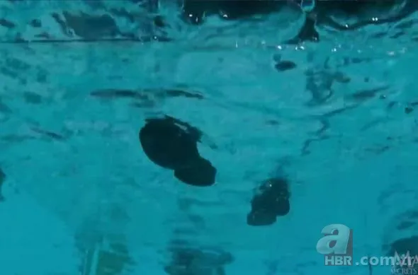 Ünlü sihirbazın büyük sırrı ifşa edildi 20