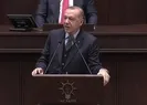 Başkan Erdoğandan Deniz Çakıra sert tepki!