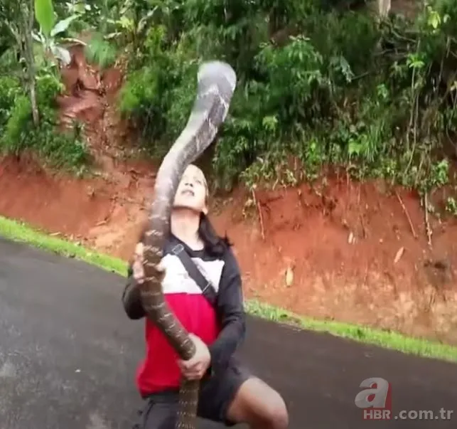 Eve giren kobra yılanıyla ölüm dansı yaptı! Tansiyon çıkaran anlar... 25