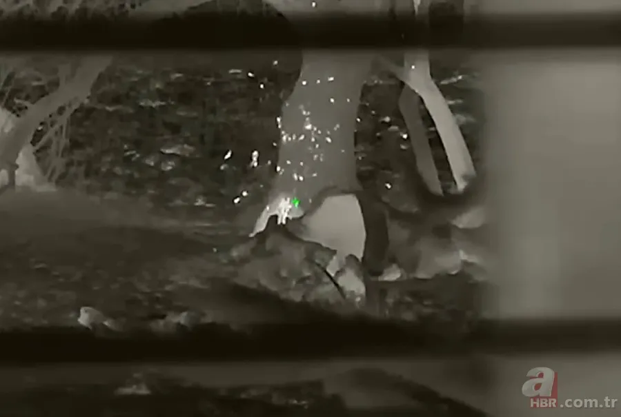 Kurtlar inek çiftliğini bastı! Sığırlarını kaybeden sahibi çözümü katliamda buldu | Bu görüntüler dehşete düşürdü 23