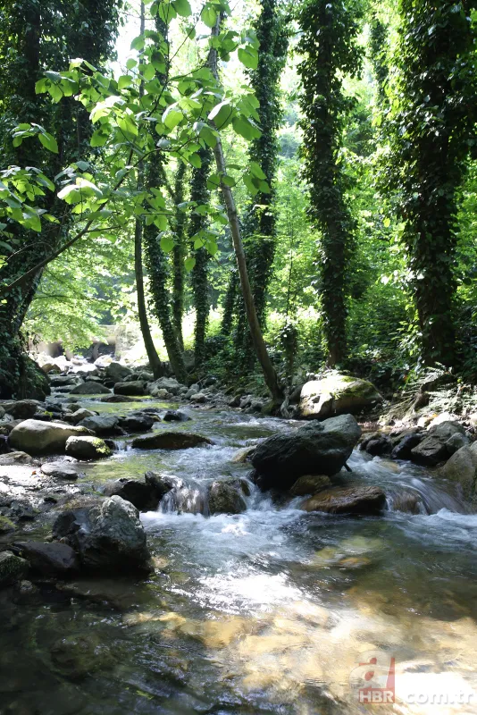 "İstanbul'un arka bahçesi" bayramda turistlerin gözdesi 12