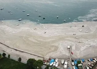 Marmara Denizi'nde görülen müsilajın yapısı incelendi: Mikroalglerin florası ortaya çıktı