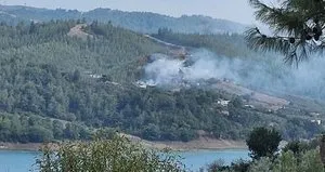 Adana’da orman yangını