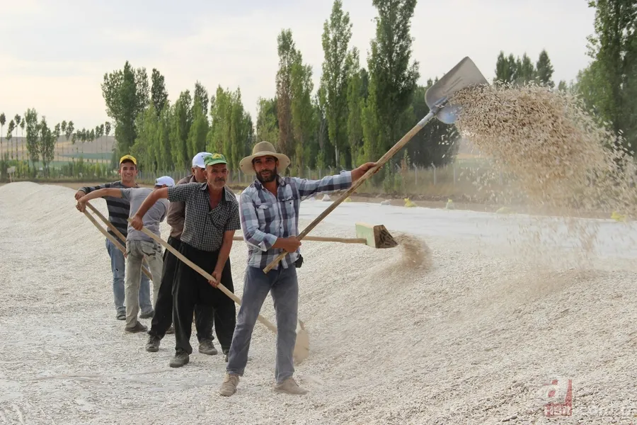 'Soğukta yapamazsın' dediler, şimdi paraya para demiyor 7