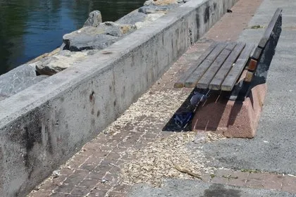 Görüntüler İstanbul’dan! İsyan ettiren manzara